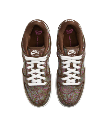 Nike Dunk Low Paisley de technologie