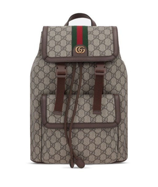 Guccismall Ophidia GG backpack sur le site 