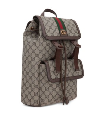 Guccismall Ophidia GG backpack sur le site 